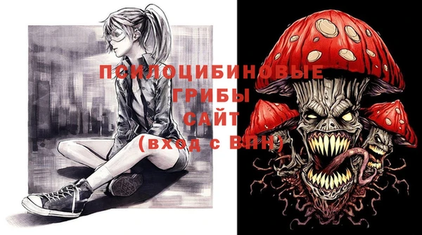 гидропоника Карпинск