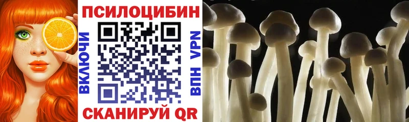 Псилоцибиновые грибы Cubensis  Купить закладки  Евпатория 